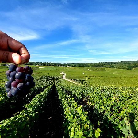 Epernay Capital De Champagne Daire Dış mekan fotoğraf