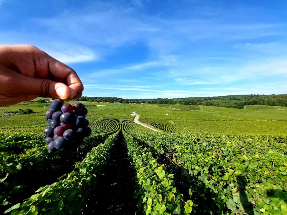 Epernay Capital De Champagne Daire Dış mekan fotoğraf
