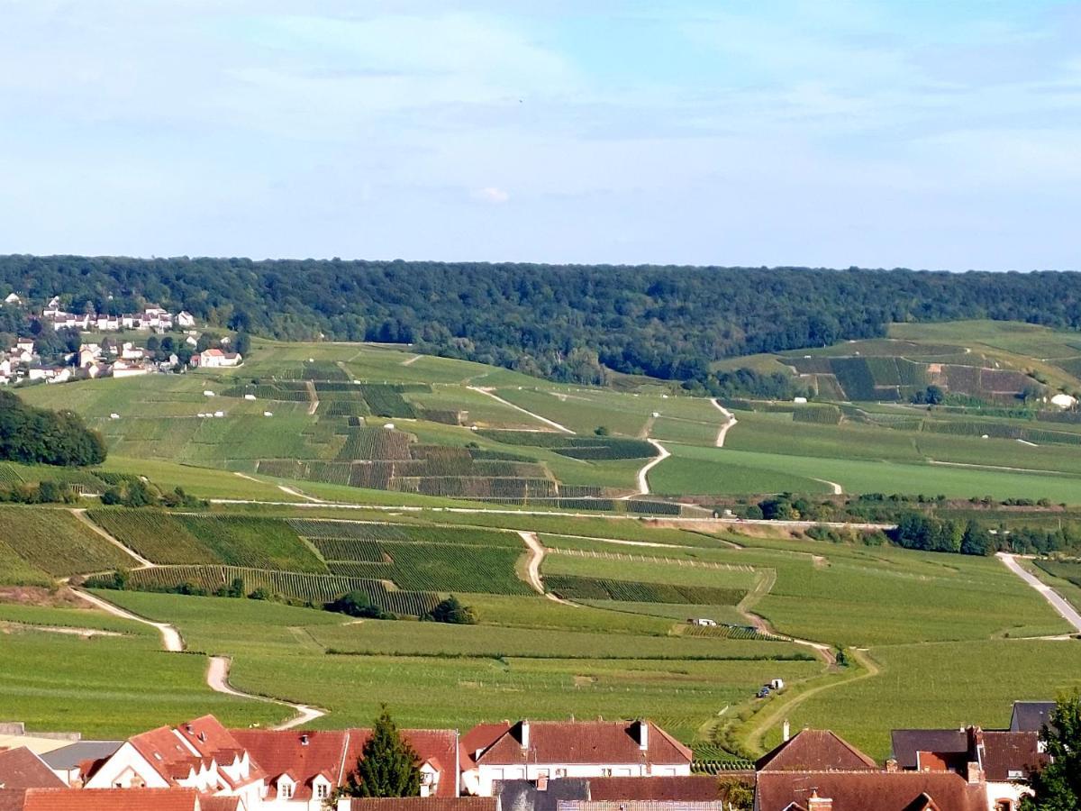 Epernay Capital De Champagne Daire Dış mekan fotoğraf